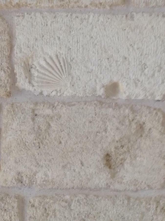 Casa Di Antonio Villa Polignano a Mare Exteriör bild